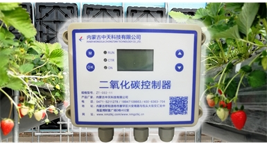 中國北方CO?新技術(shù)，將促進(jìn)農(nóng)作物光合作用和光合產(chǎn)物的生成